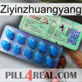 Ziyinzhuangyang new02